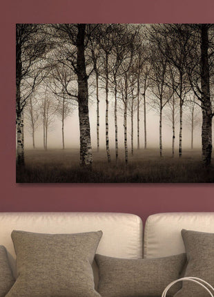 Glasbild 80x120cm Zwielichtiger Birkenwald