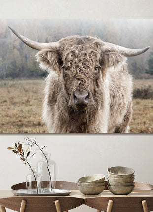 Glasbild 120x80cm Highlander in der Natur
