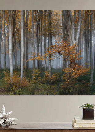 Glasbild 160x110cm Birkenwald