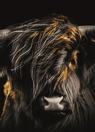 Glasbild 160x110cm Highlander im Wind