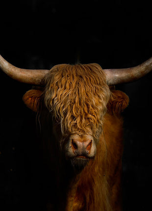 Glasbild 80x80cm Highlander